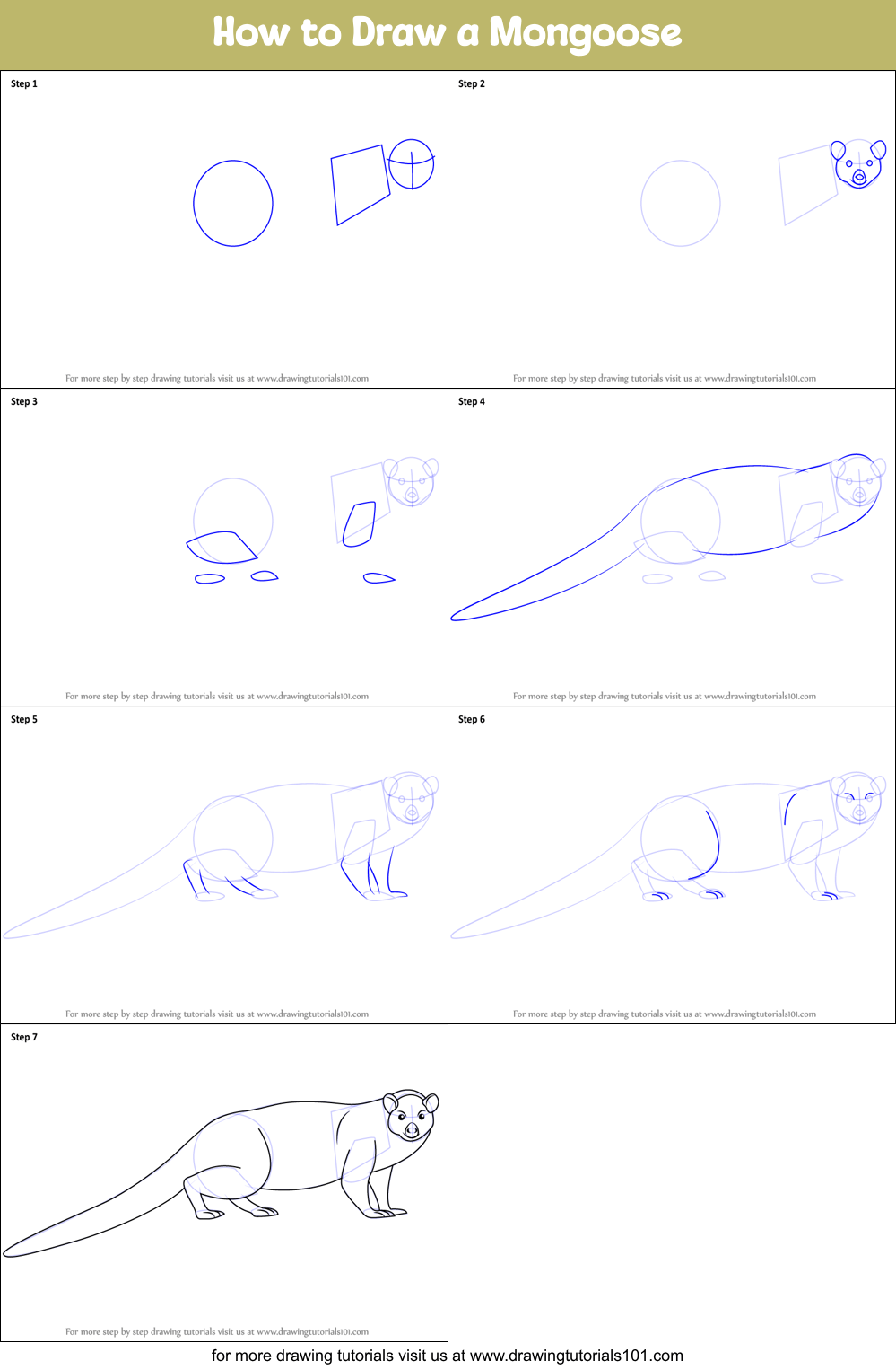 How to Draw a Mongoose printable step by step drawing