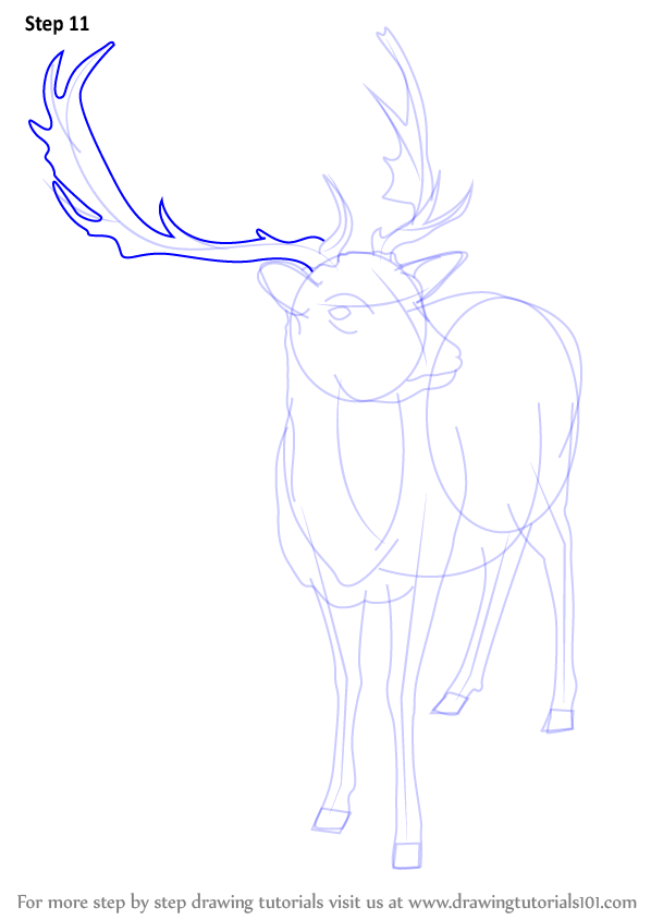 Learn How to Draw a Reindeer (Wild Animals) Step by Step