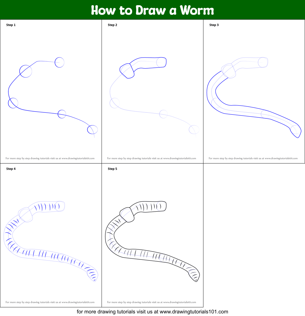 How to Draw a Worm printable step by step drawing sheet