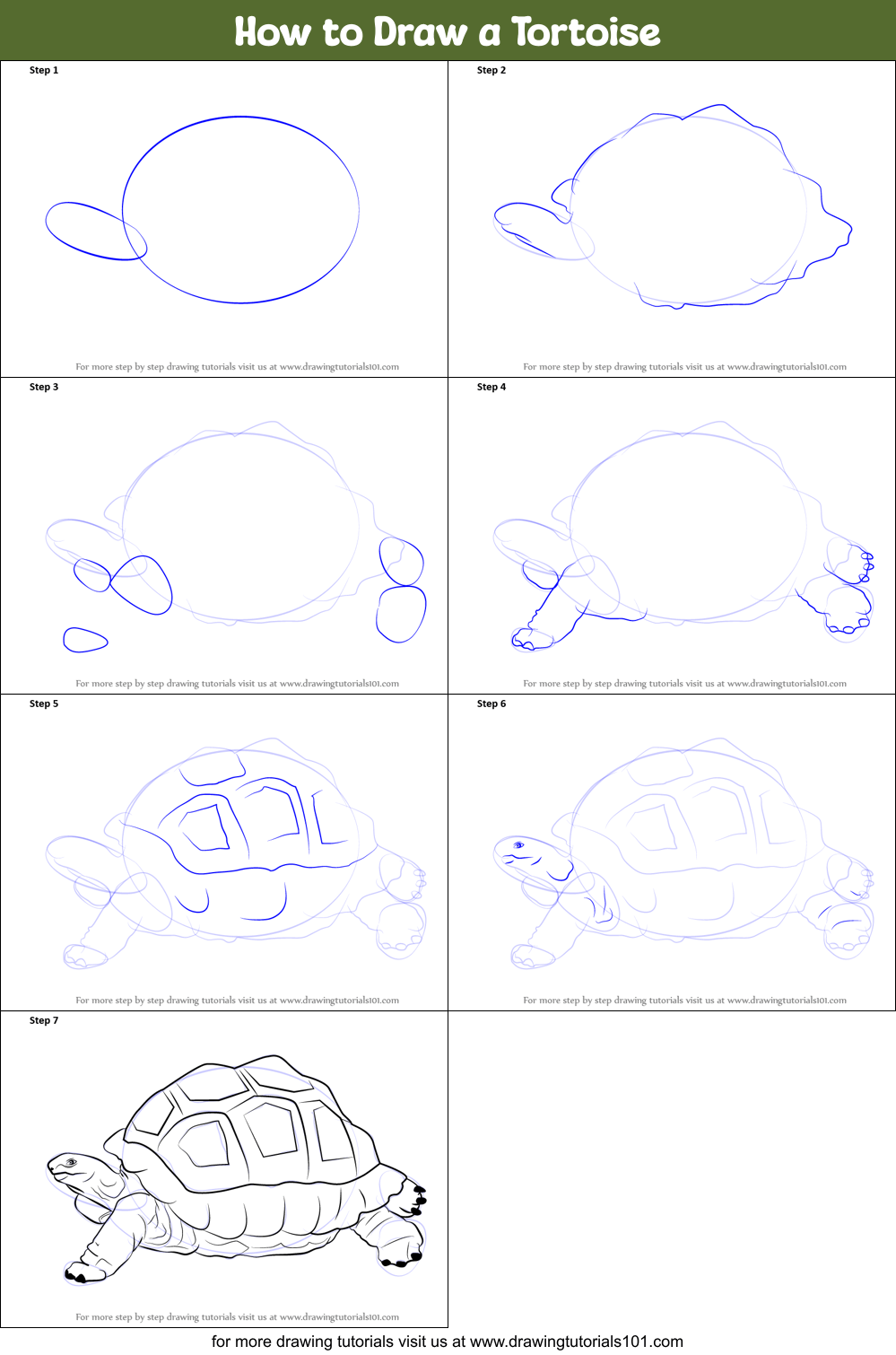 How to Draw a Tortoise printable step by step drawing sheet