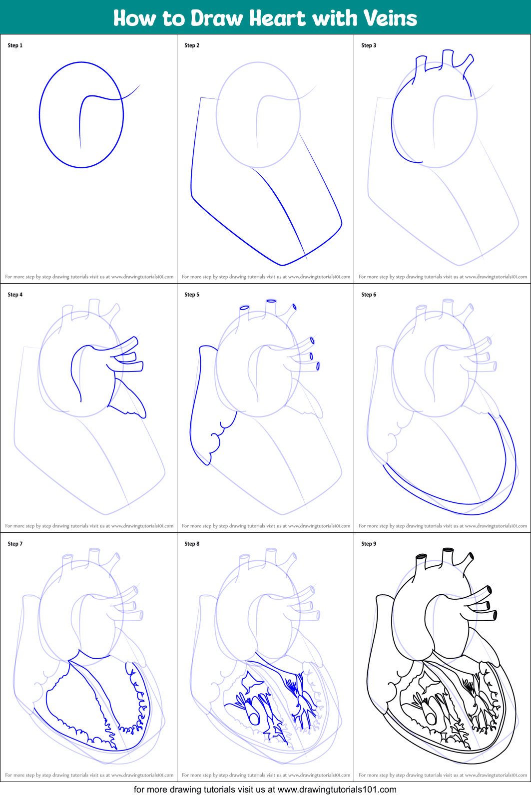 How to Draw Heart with Veins printable step by step drawing sheet