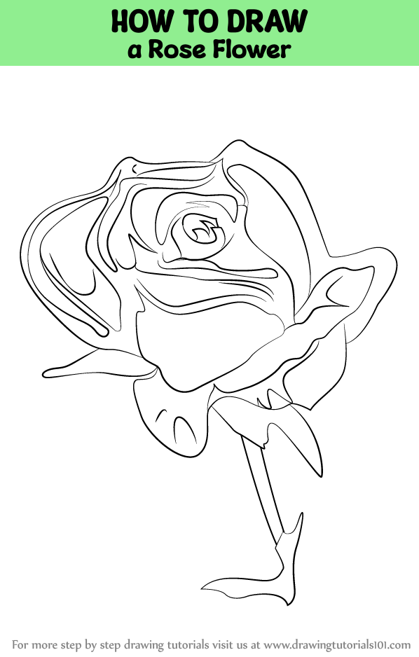 How to Draw a Rose Flower (Rose) Step by Step