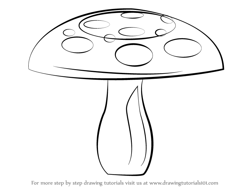 How to Draw a Mushroom (Mushrooms) Step by Step