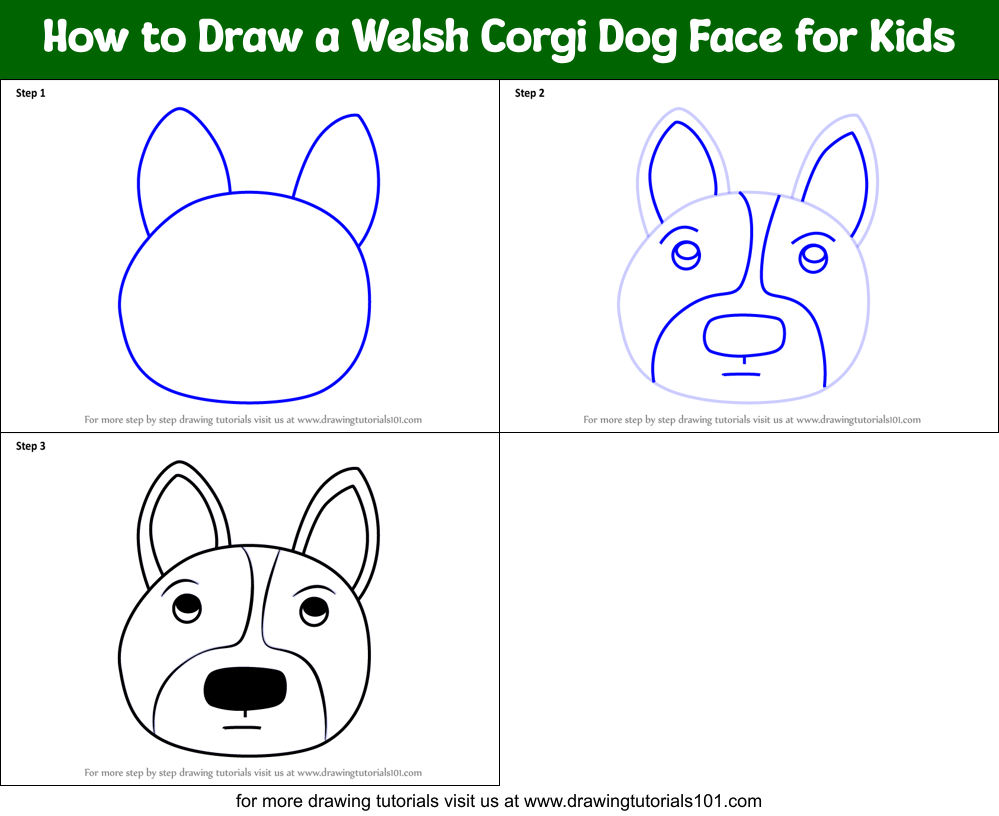 How to Draw a Welsh Dog Face for Kids printable step