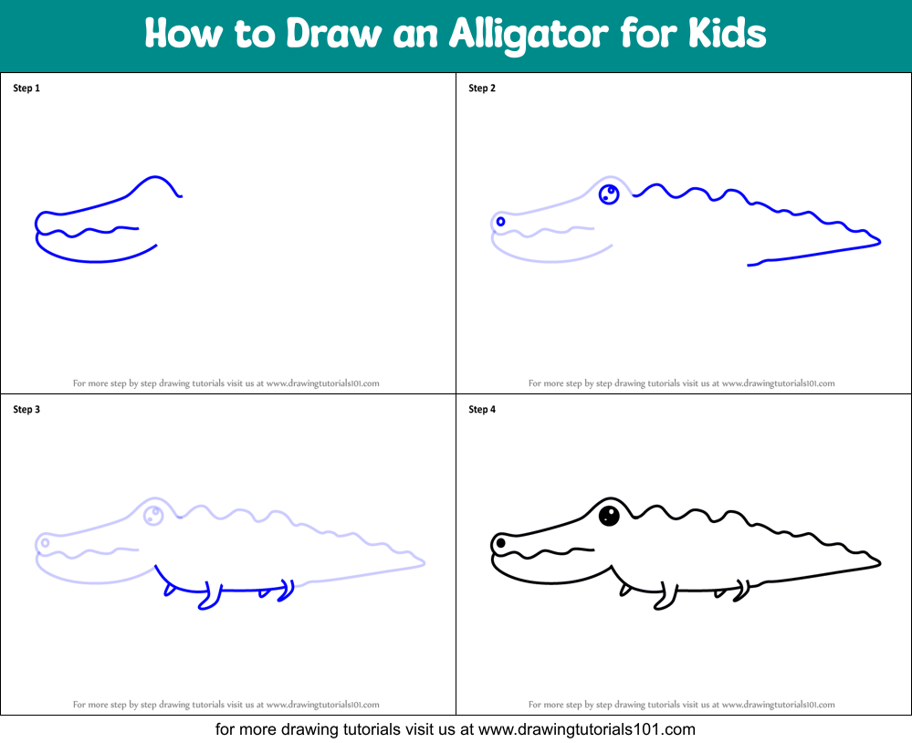 How to Draw an Alligator for Kids printable step by step drawing sheet