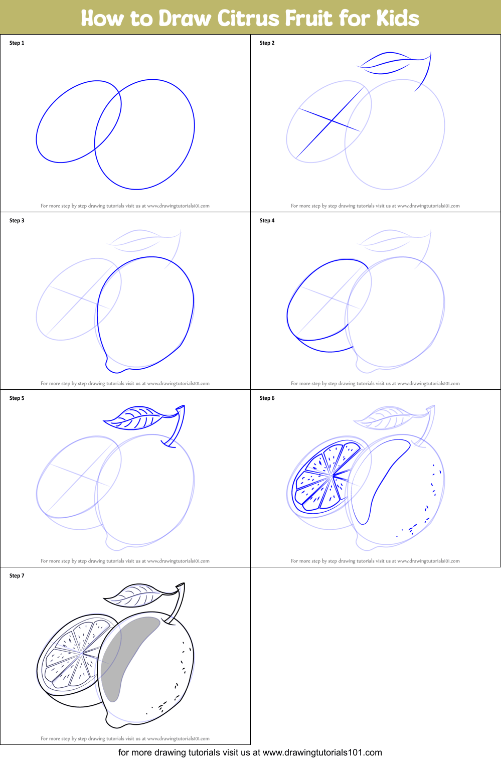 How to Draw Citrus Fruit for Kids printable step by step drawing sheet