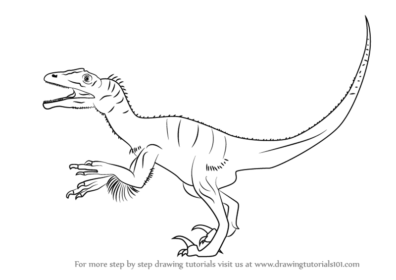 Kleurplaat Baby Dino Stegosaurus Baby Zum Ausmalen Zum Ausmalen De