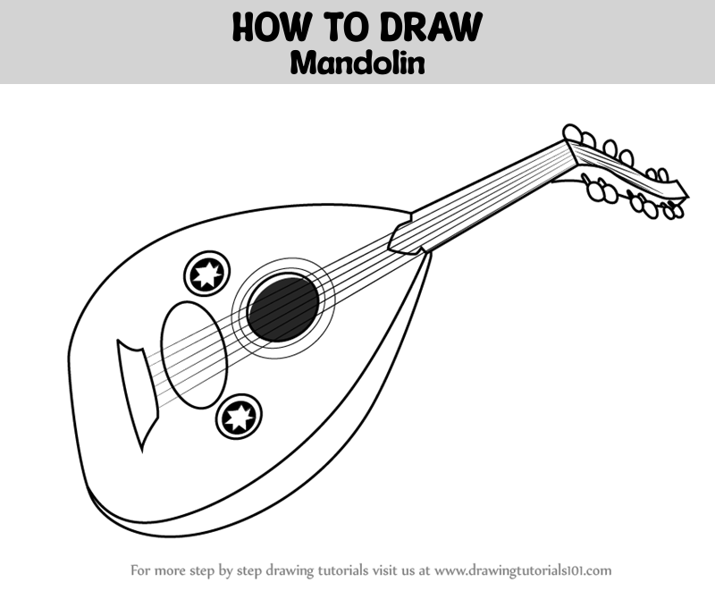 How to Draw Mandolin (Musical Instruments) Step by Step