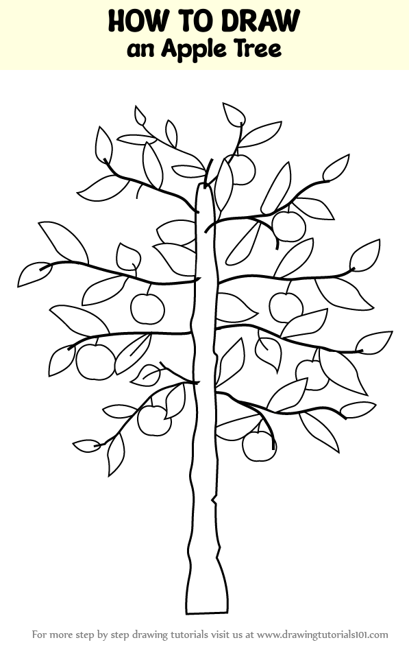 How to Draw an Apple Tree (Trees) Step by Step