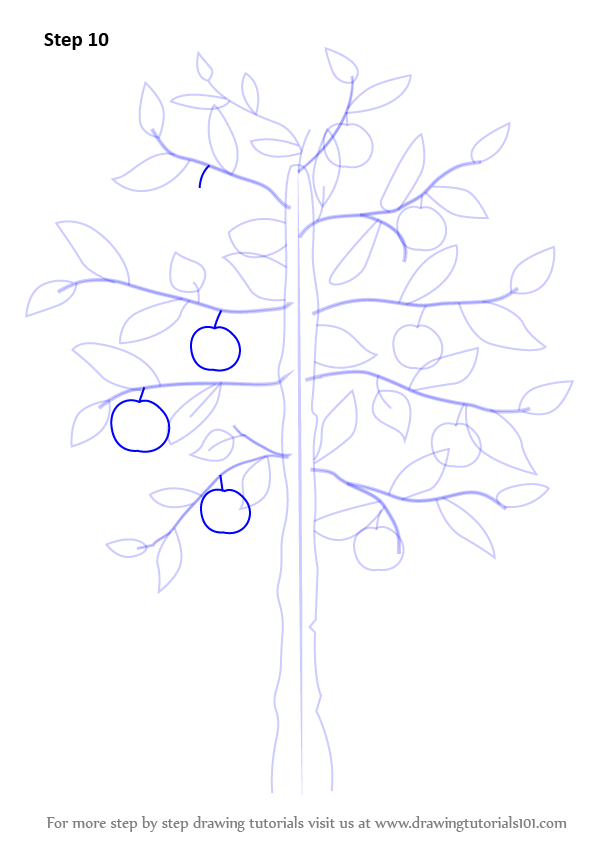 Learn How to Draw an Apple Tree (Trees) Step by Step Drawing Tutorials