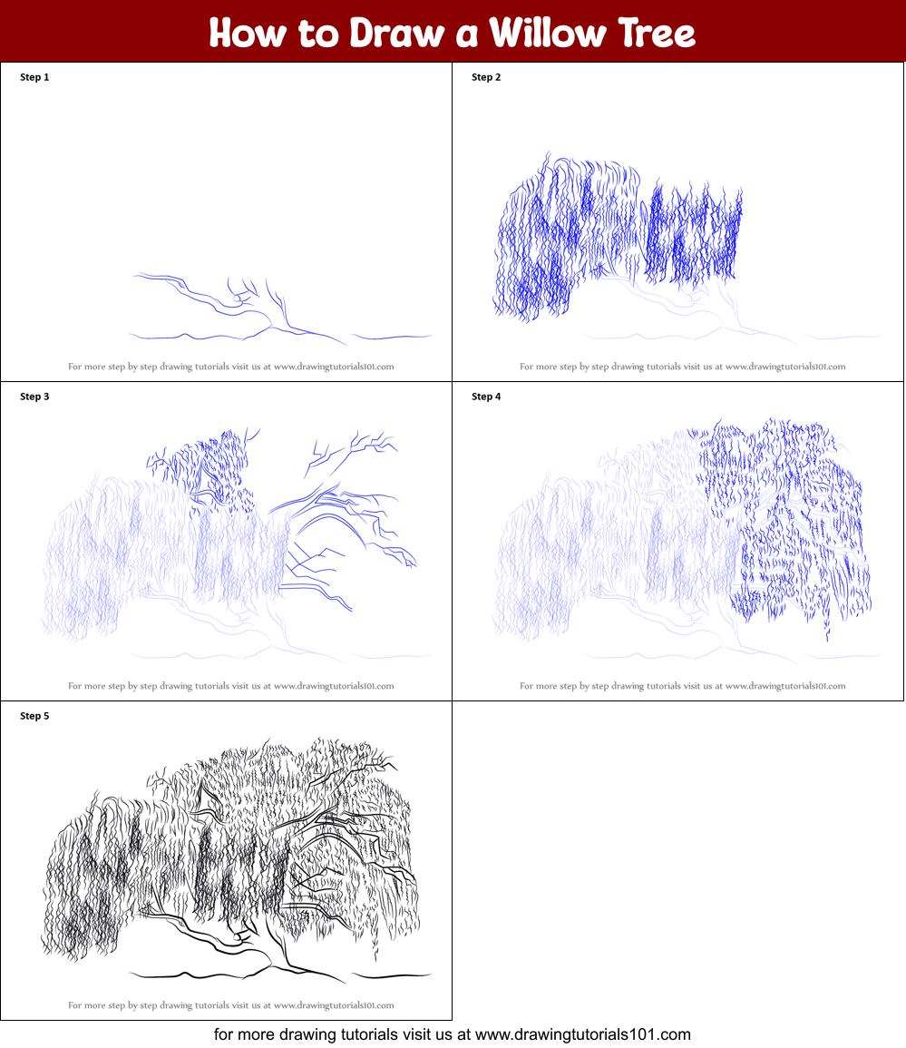 How to Draw a Willow Tree (Trees) Step by Step