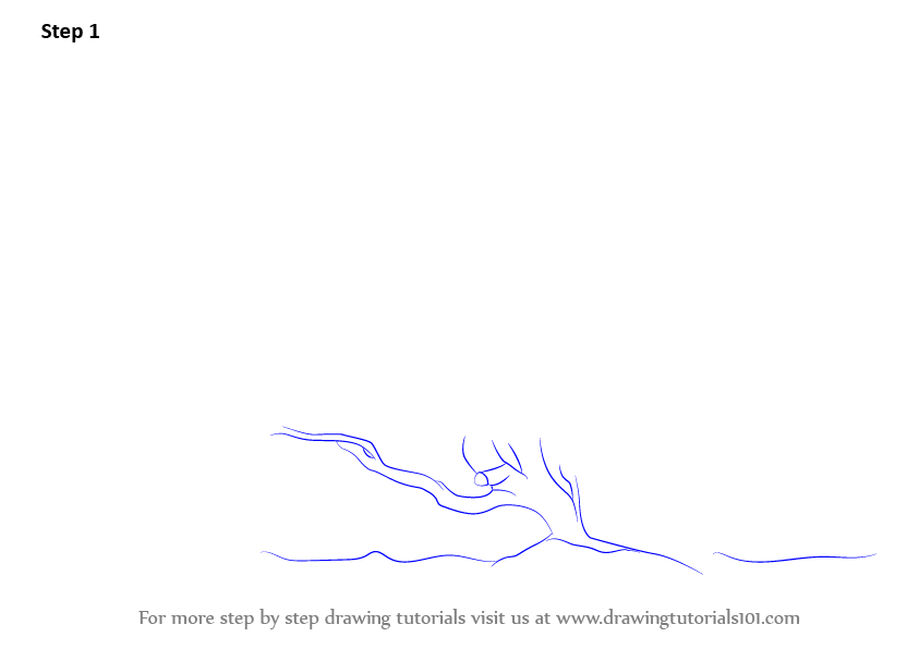 How to Draw a Willow Tree (Trees) Step by Step