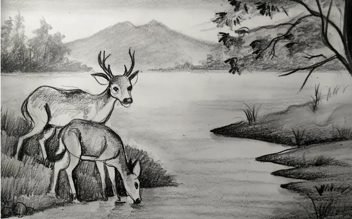 How To Draw A Rainforest 10 Amazing and Easy Tutorials!