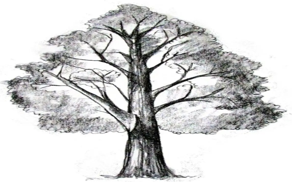 How To Paint A Tree 10 Amazing and Easy Tutorials!