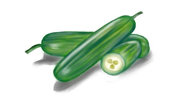 Drawing of Cucumber by Jan Drawize Gallery!