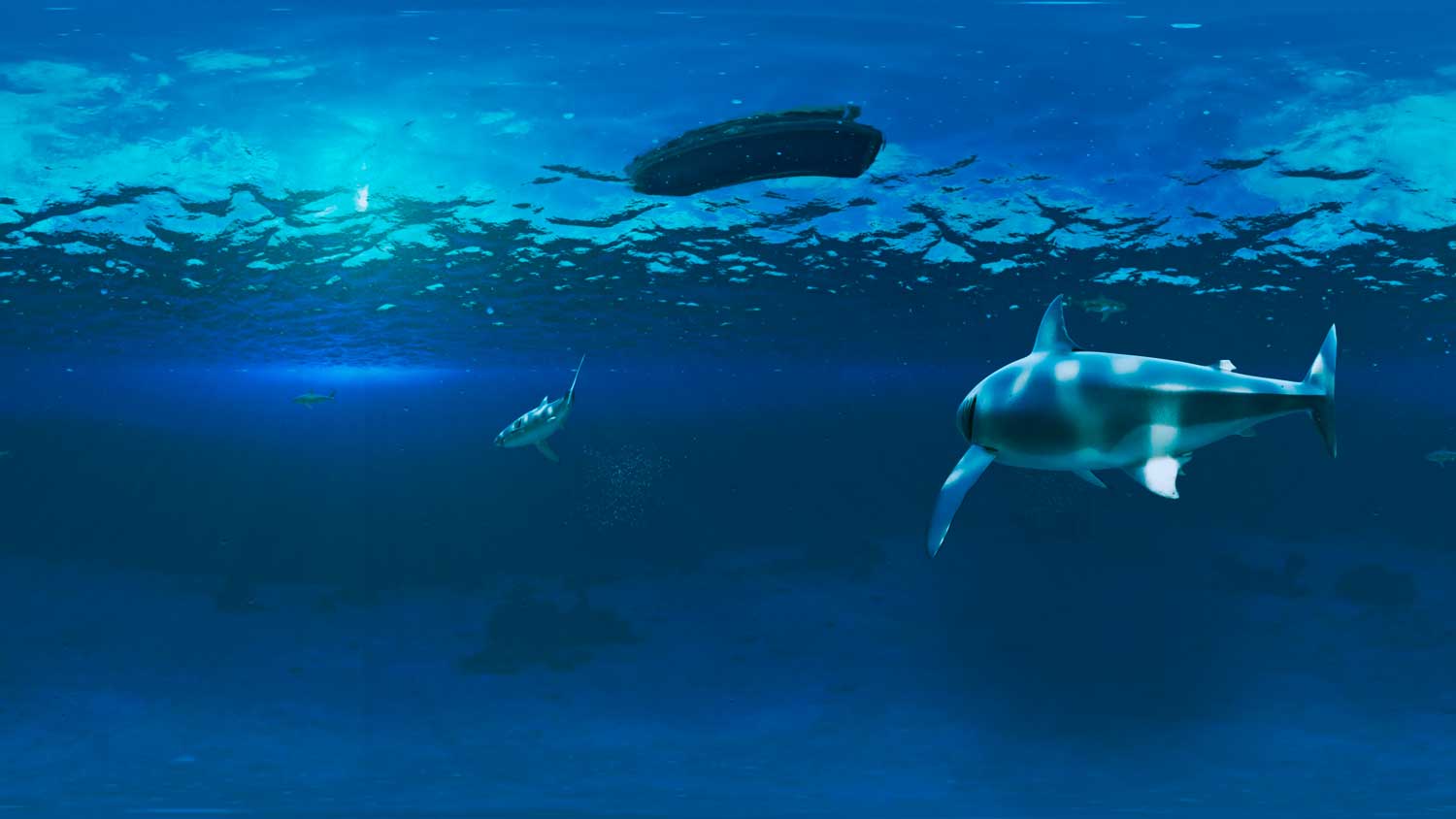 SHARK DIVING IN VR Drawlight