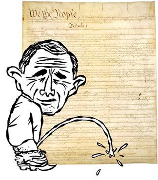 BushConstitutionDM.jpg