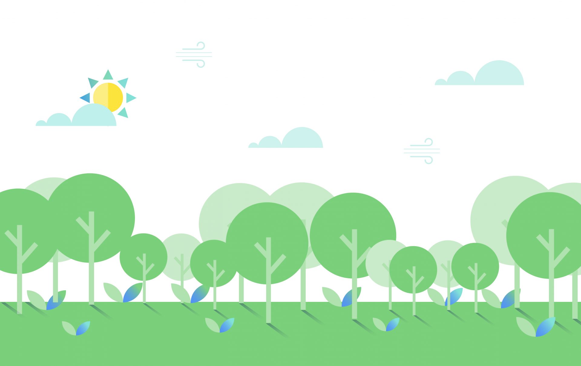 What is sustainable forest management? Drax Global