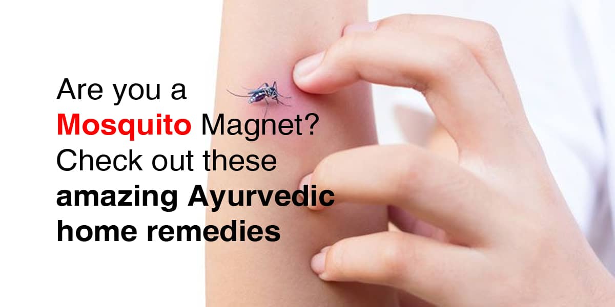 Are you a Mosquito Try these Amazing Ayurvedic home Remedies Dr. Brahmanand Nayak