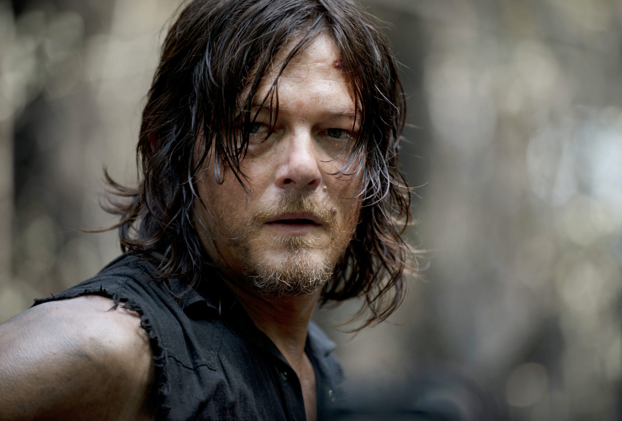 The Walking Dead Daryl Dixon, rilasciato il poster ufficiale assieme a(03)