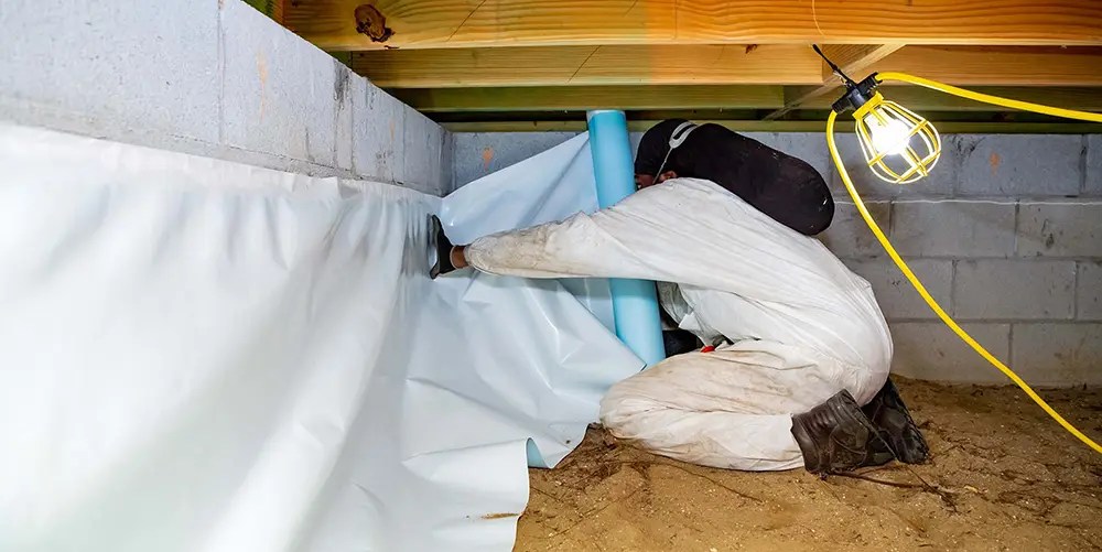 Crawl Space Repair: Why It’s Essential for Your Home
