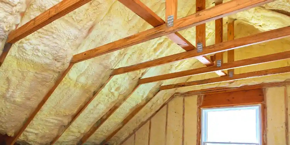 Attic Pest Control Powerful Solutions to Protect Your Home