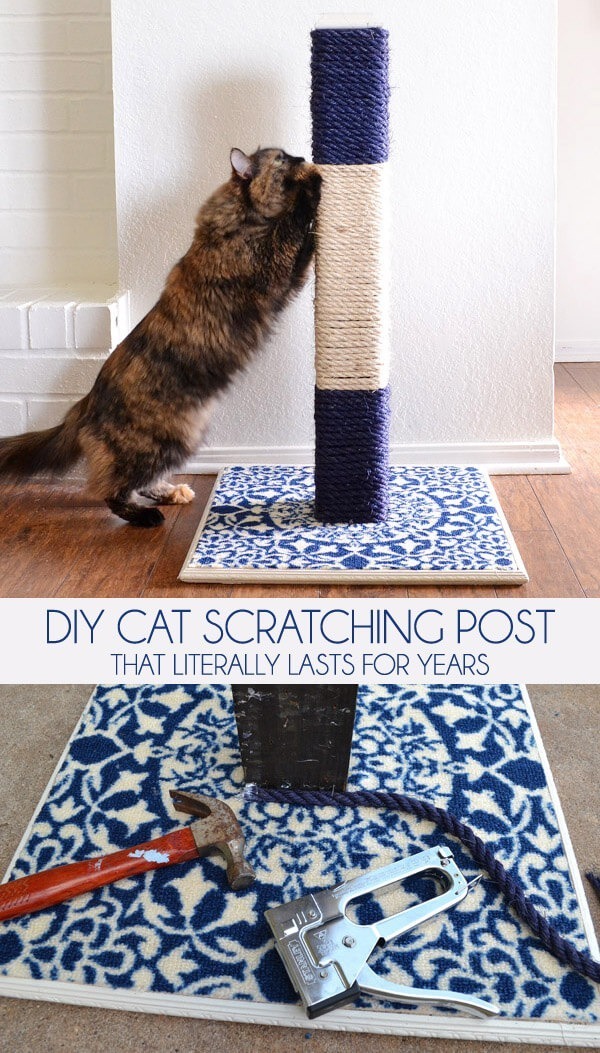 DIY Cat Scratching Post That Literally Lasts for Years! Dream a