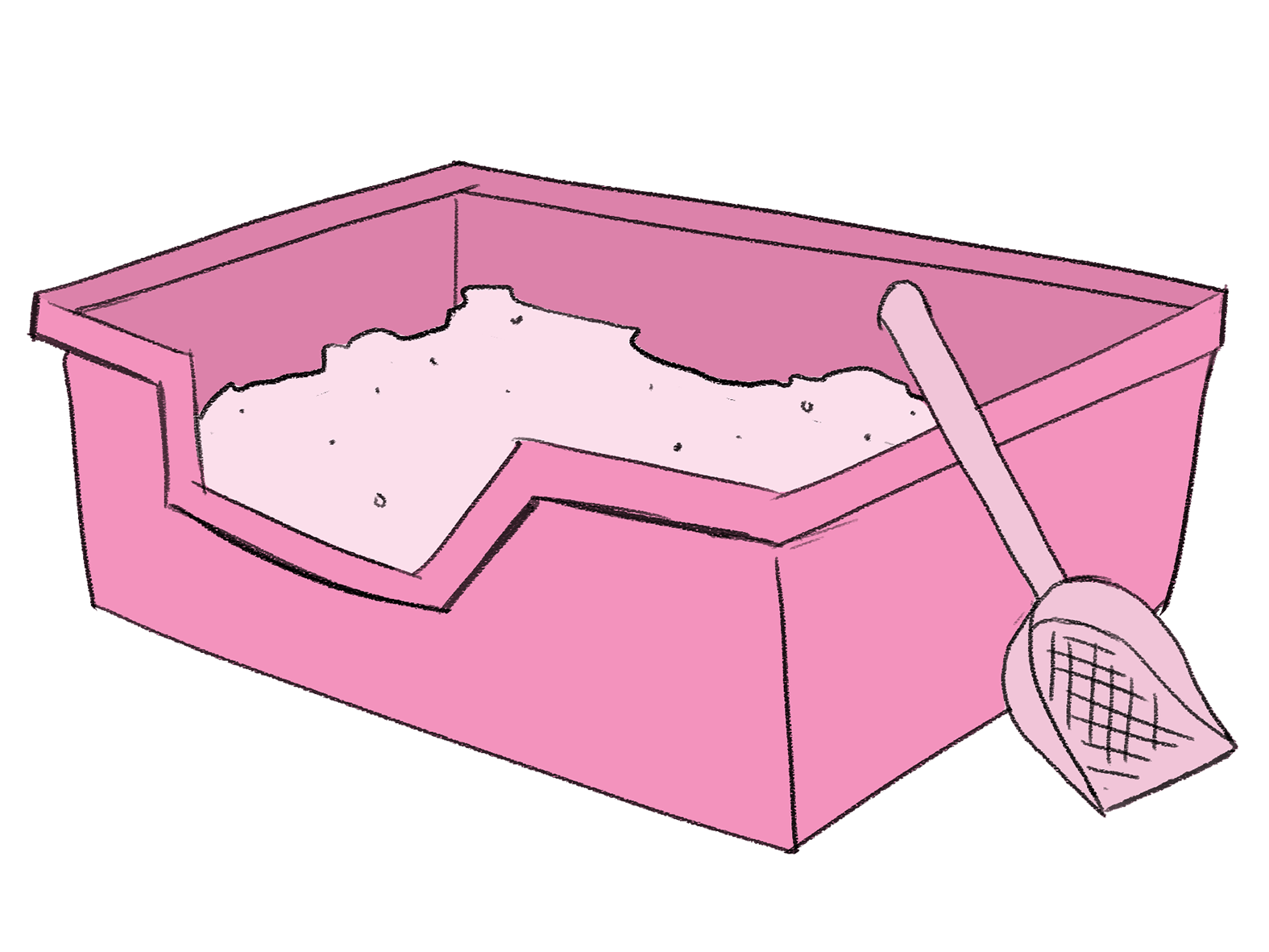 Litter Box 101! Dream Animal Rescue