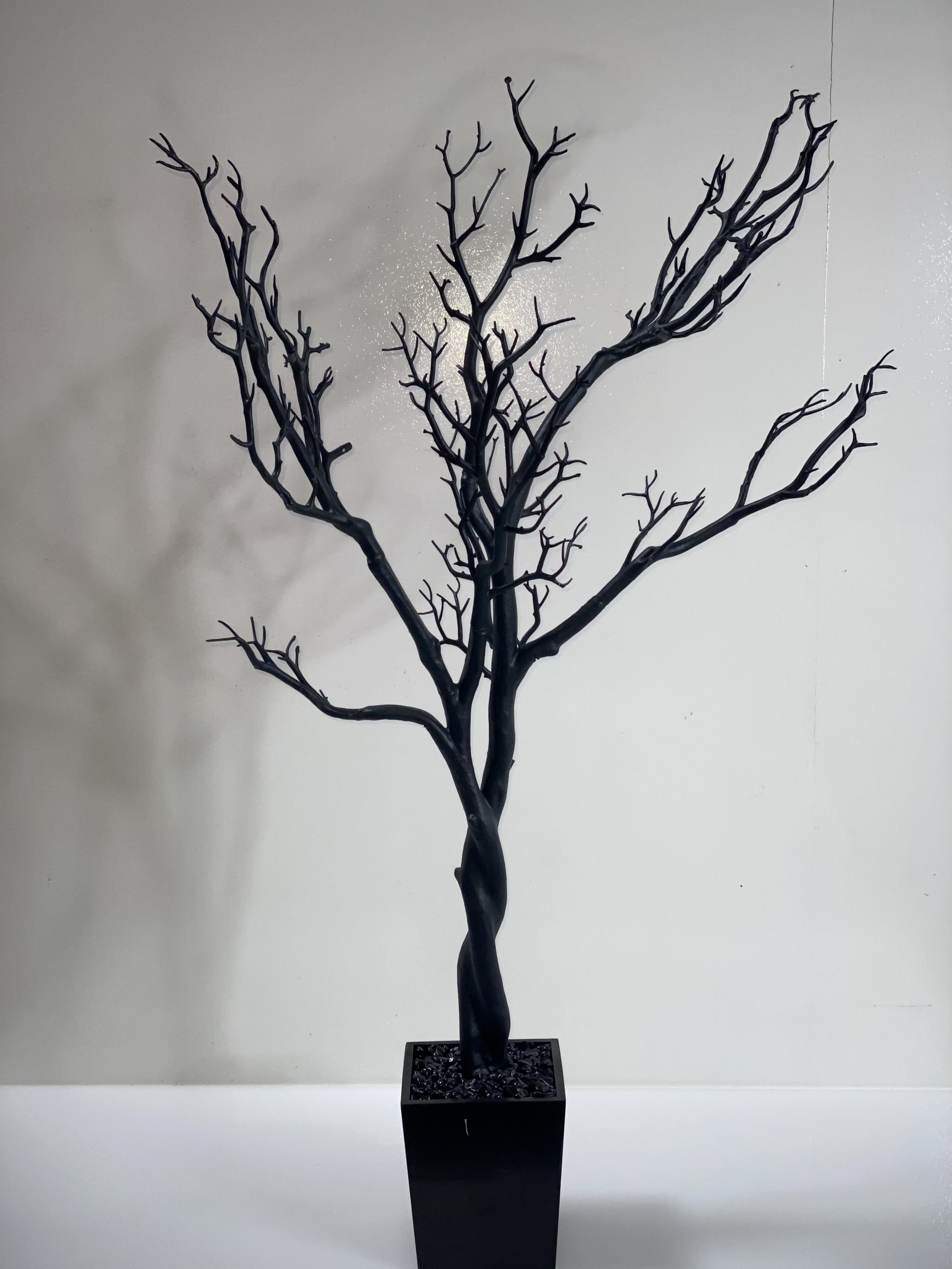 Branch Black Tree in Square Pot 4′ Dream Captured Event Design