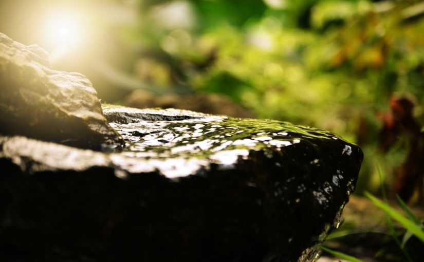 Dream Meaning of Water Well Dream Interpretation