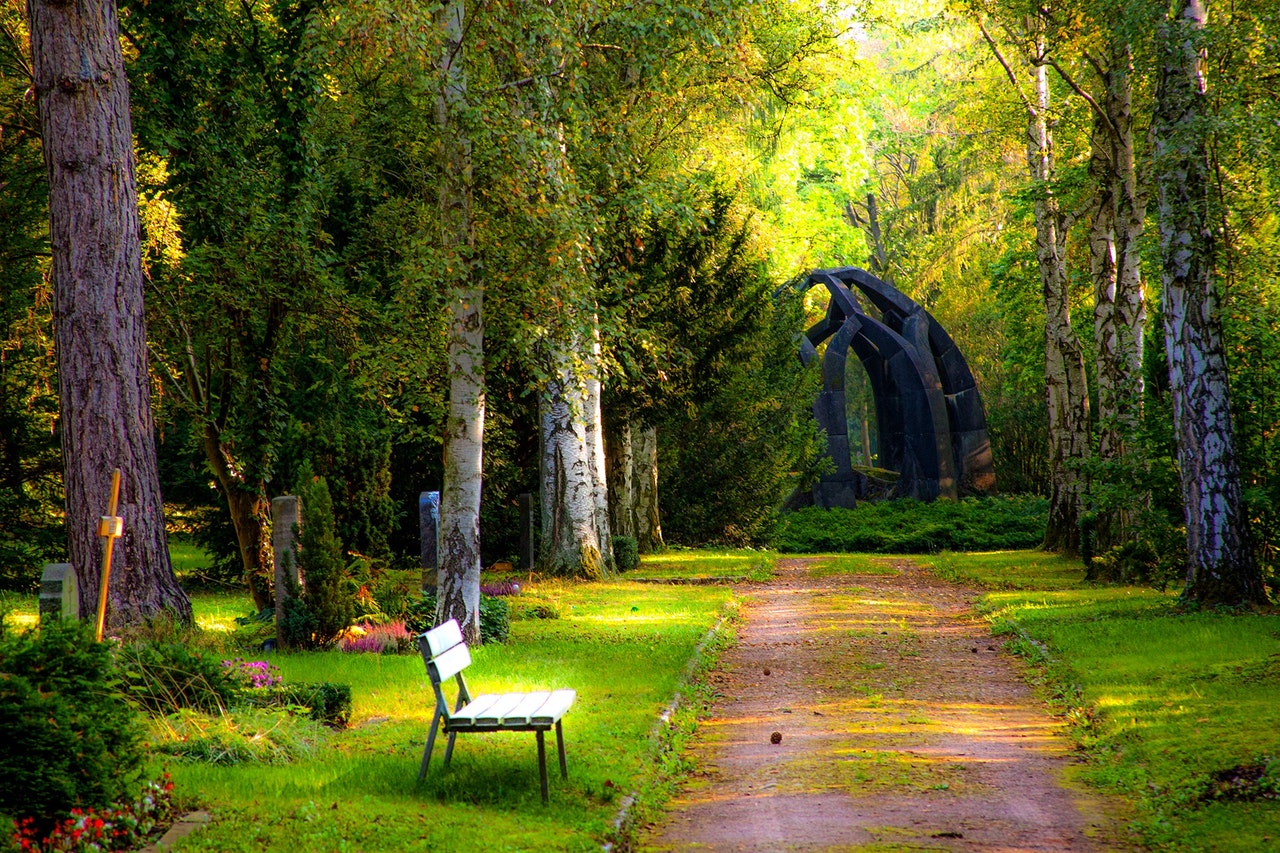 Dream Meaning of Park Dream Interpretation