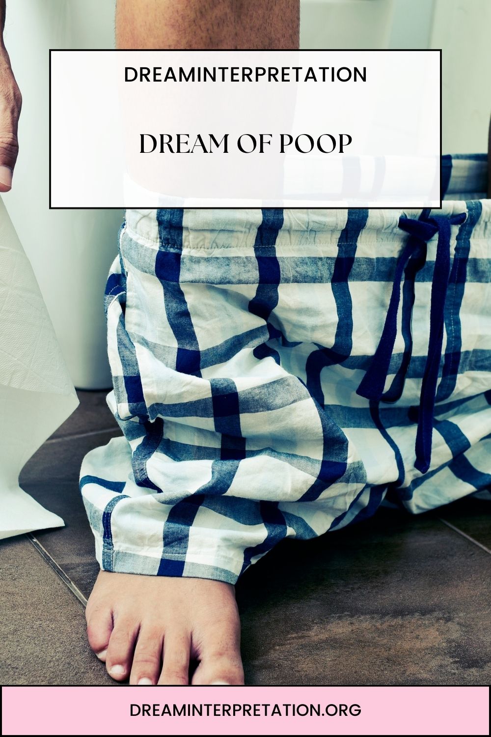 Dream of Poop? (Interpretation & Spiritual Meaning)