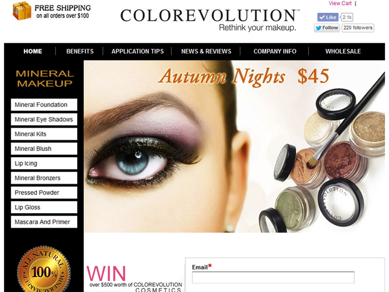 Colorevolution Realtor Website Design