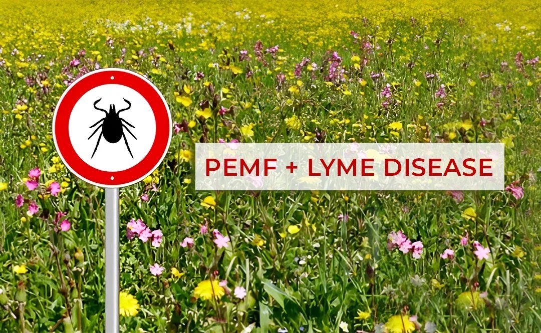 How PEMF Treatment Can Help Lyme Disease Elena Klimenko, MD