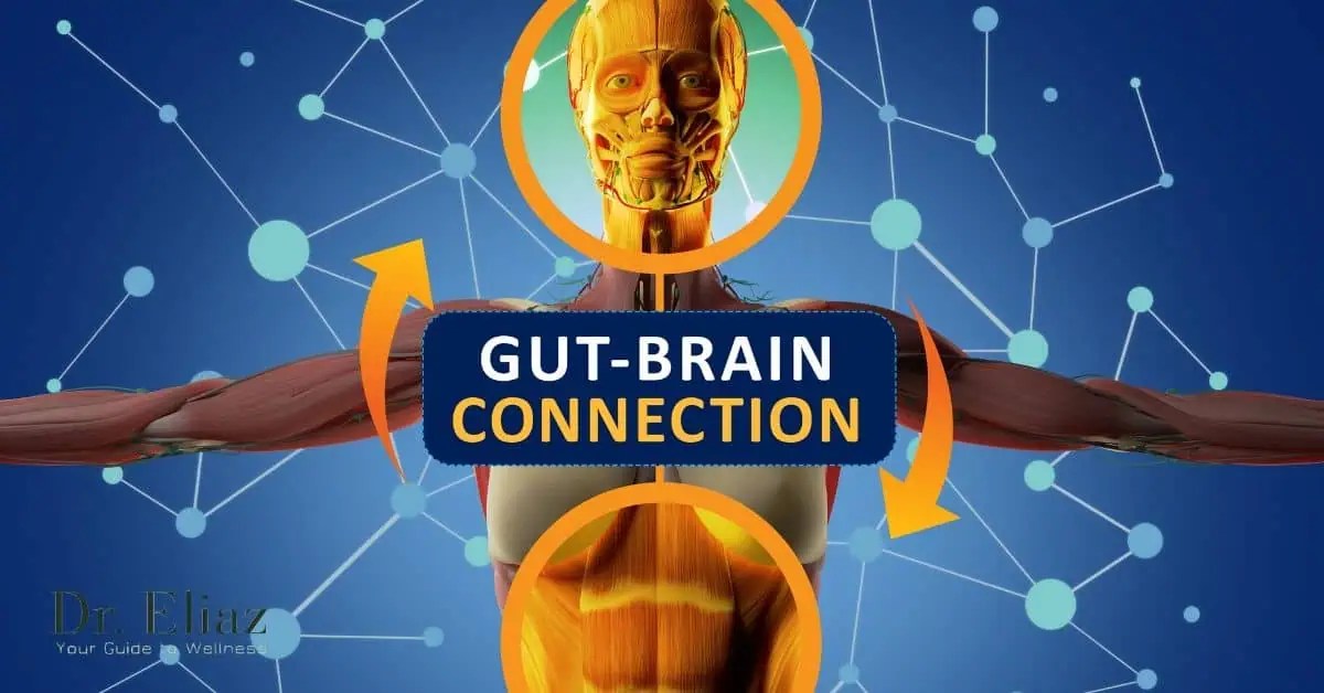 The GutBrain Axis Enhance Mood, Immunity and More Dr. Isaac Eliaz