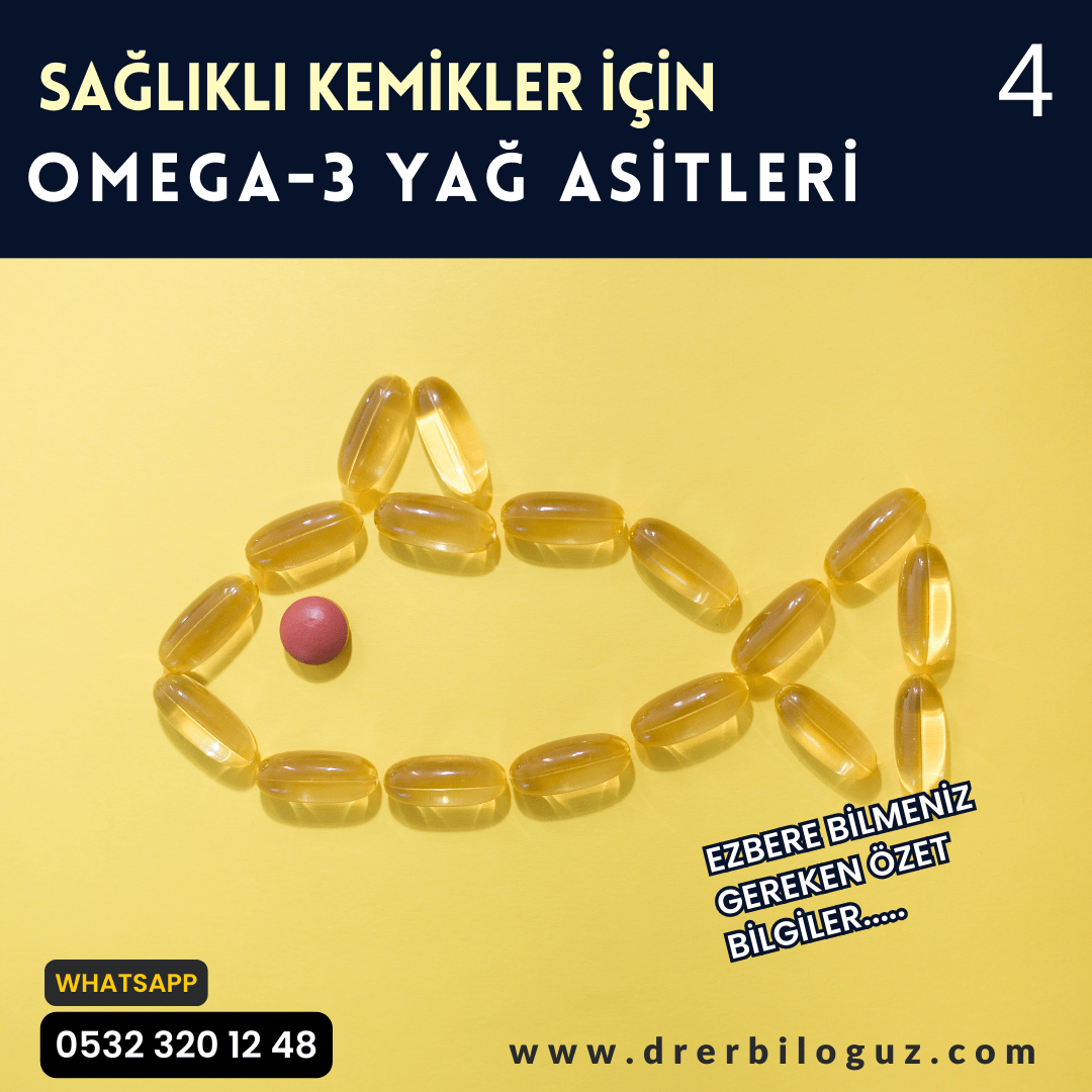 Omega3 Yağ Asitleri