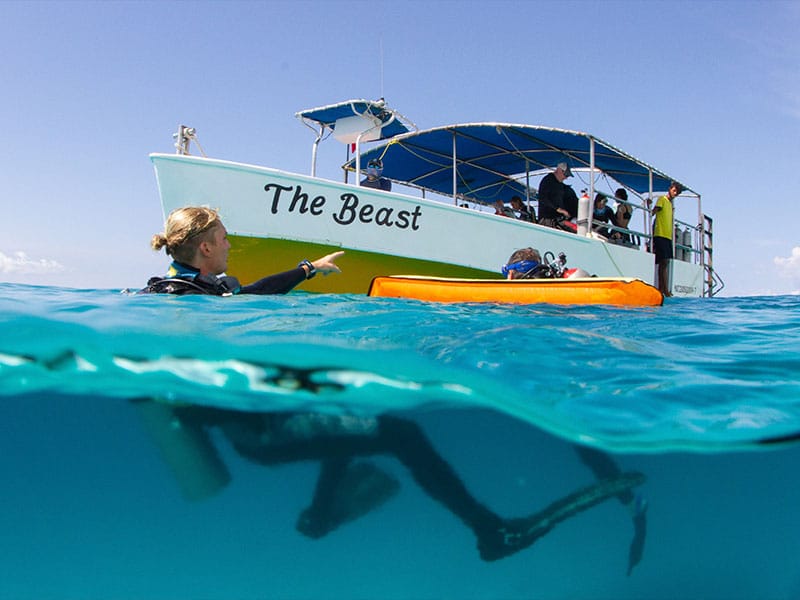 DIVEMASTER JOBS & Careers with Dressel Divers