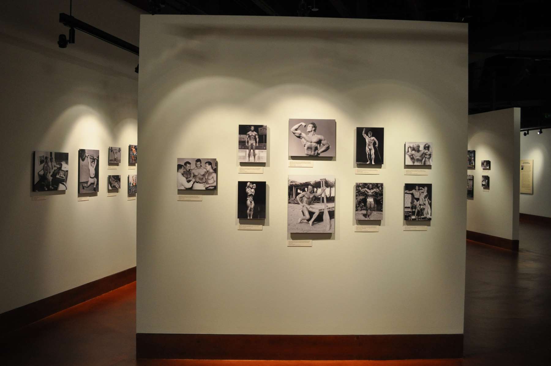 H. J. Lutcher Stark Center at the University of Texas at Austin Drew