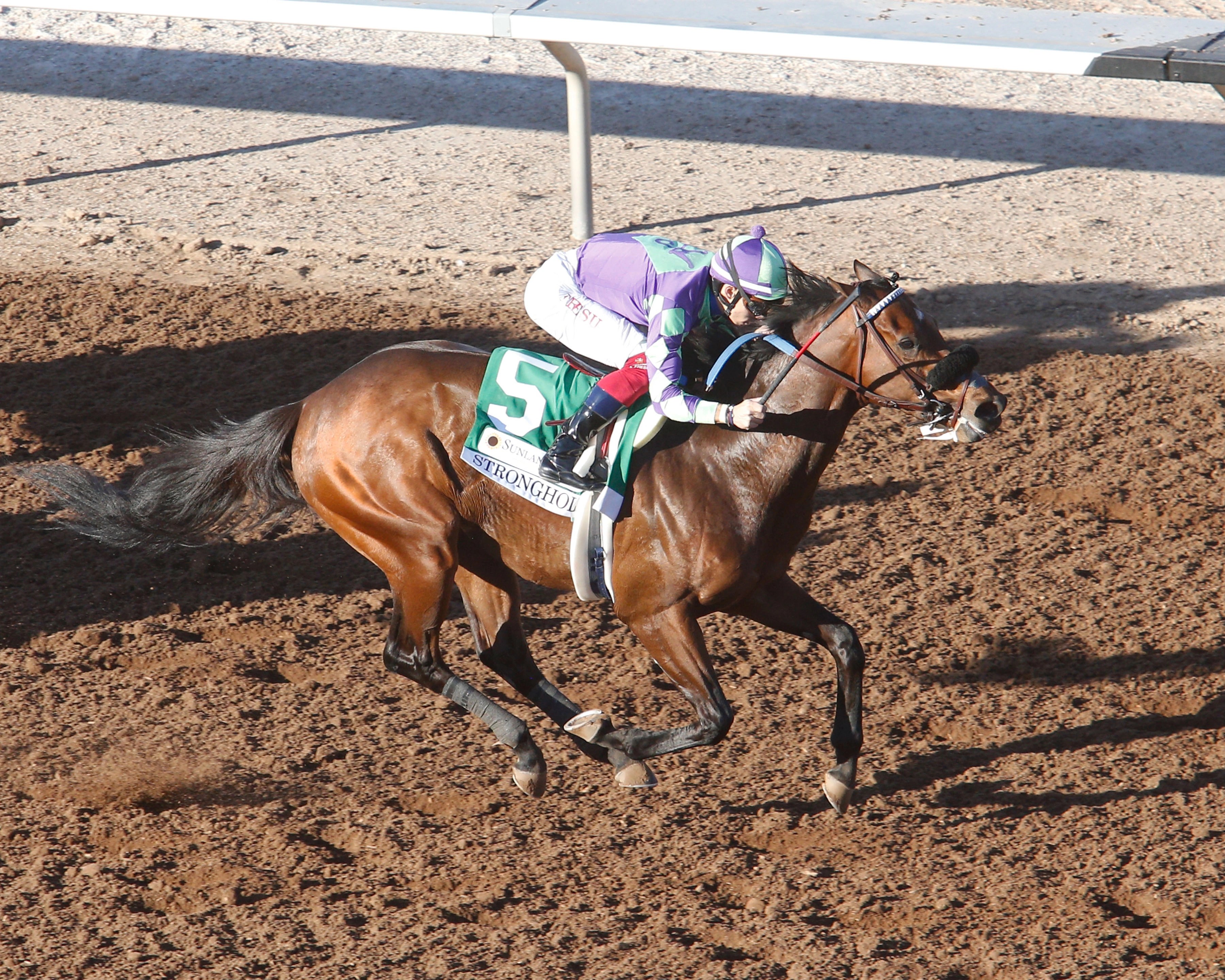 Stronghold takes Sunland Derby, climbs to fourth in Derby points