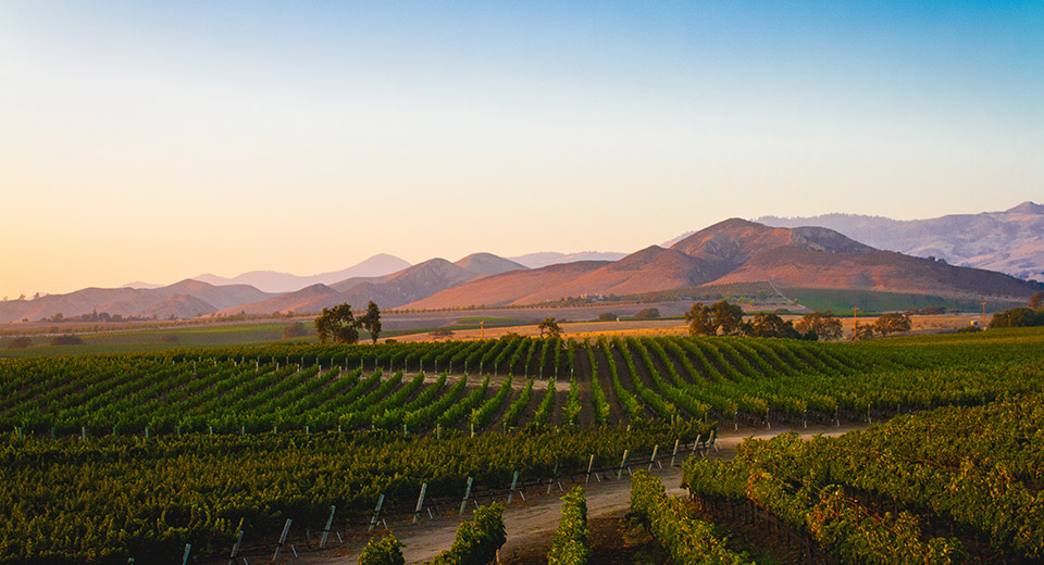 New Homes in Pleasant Valley Ranch Winchester, CA D.R. Horton