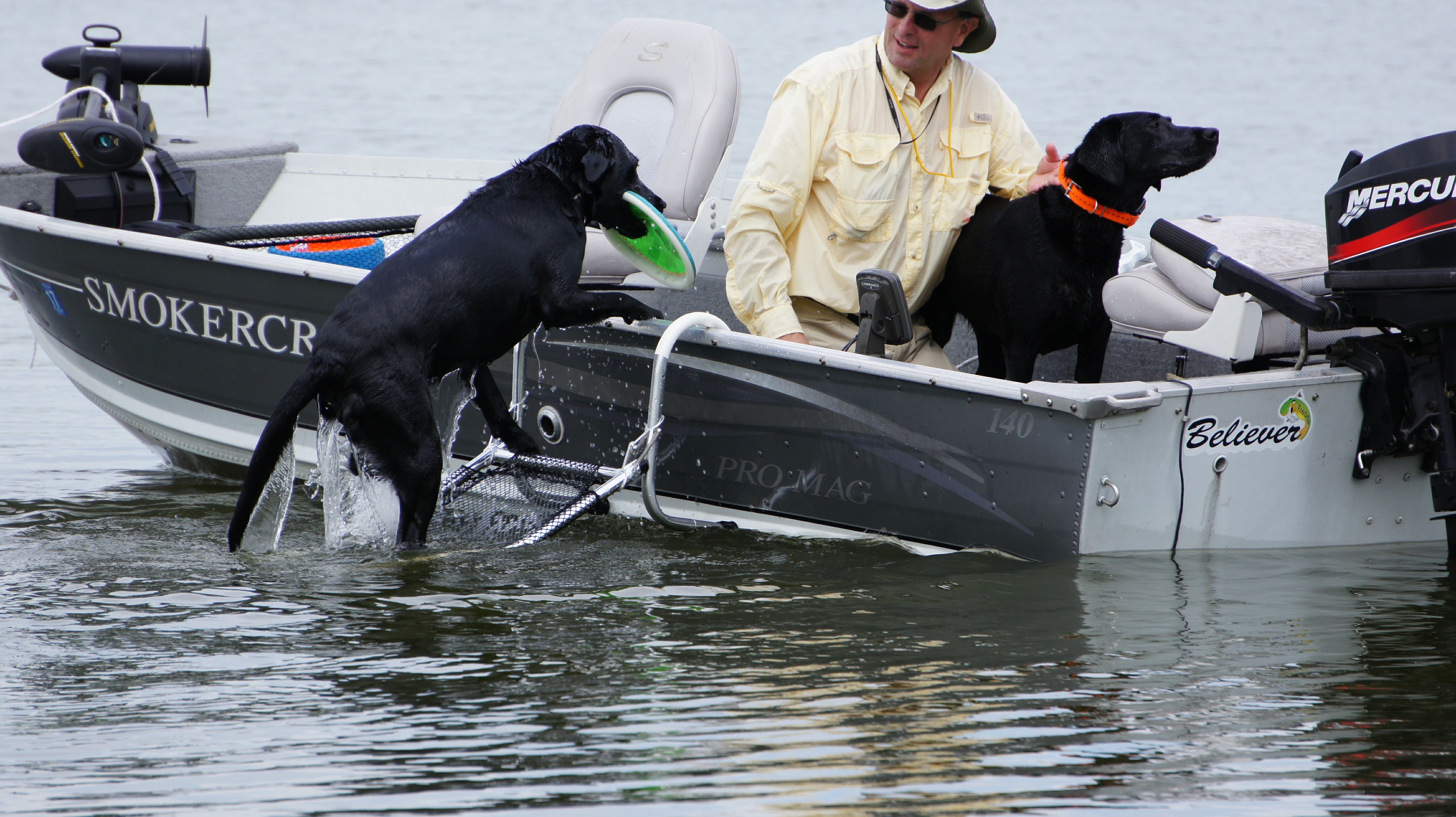 Dog Boarding Ladder Drifter Marine