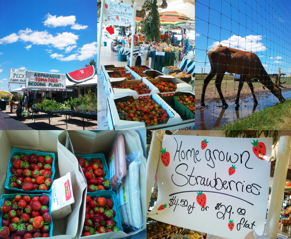 Good Times at Peck’s Farm Market Driftless Appetite