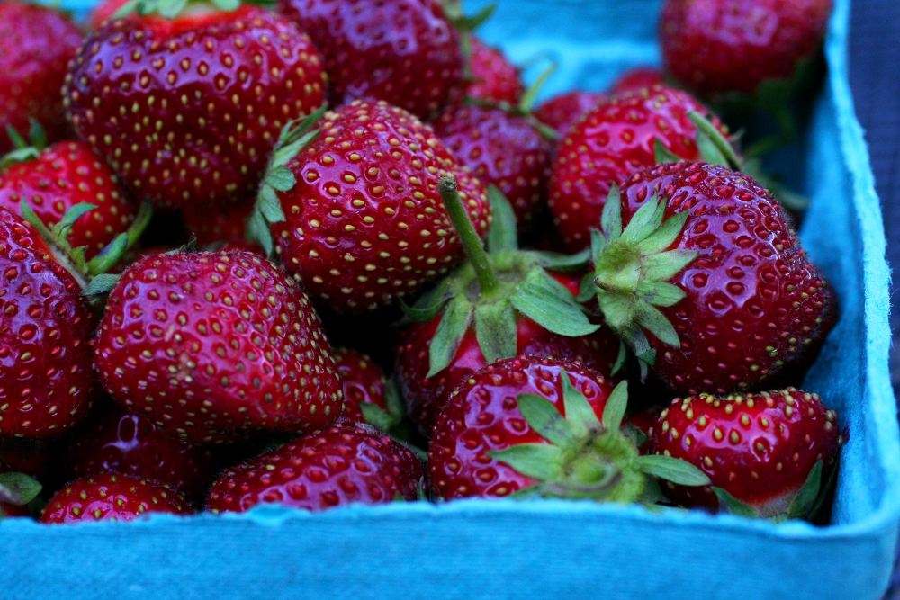 Strawberry Madness Driftless Appetite
