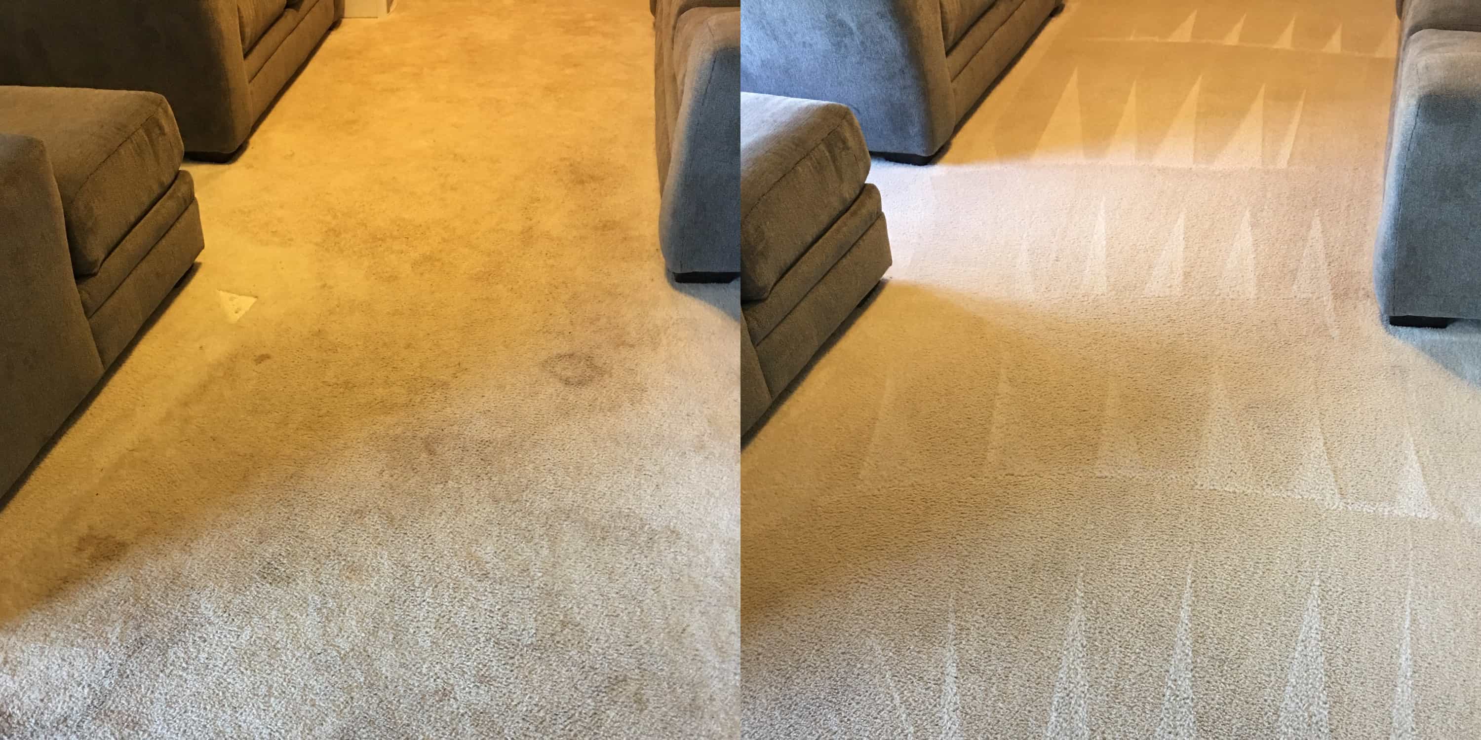 Before & After 3 DriGanic Carpet Cleaning Springfield Pennsylvania