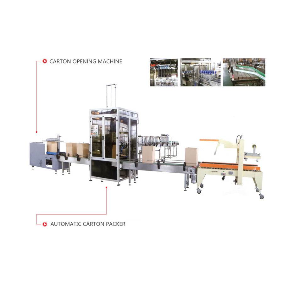 CFM Series Carton Packing System