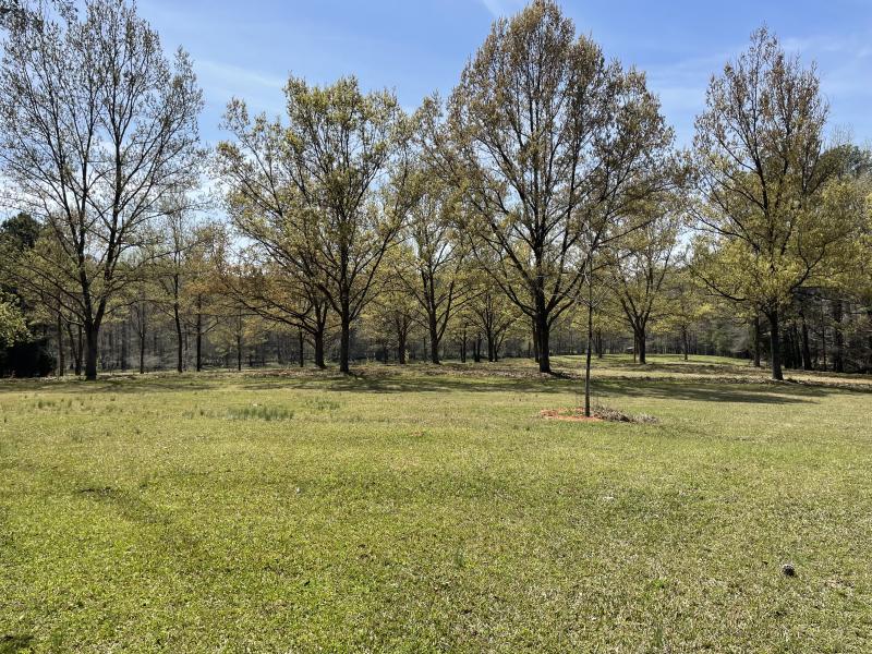 Drinkard Real Estate Sales