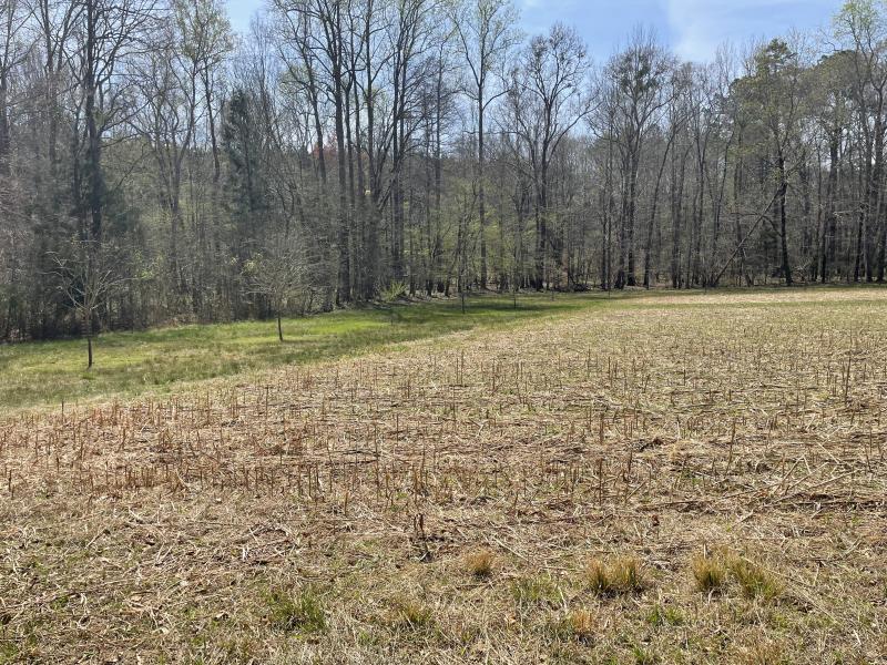 Drinkard Real Estate Sales