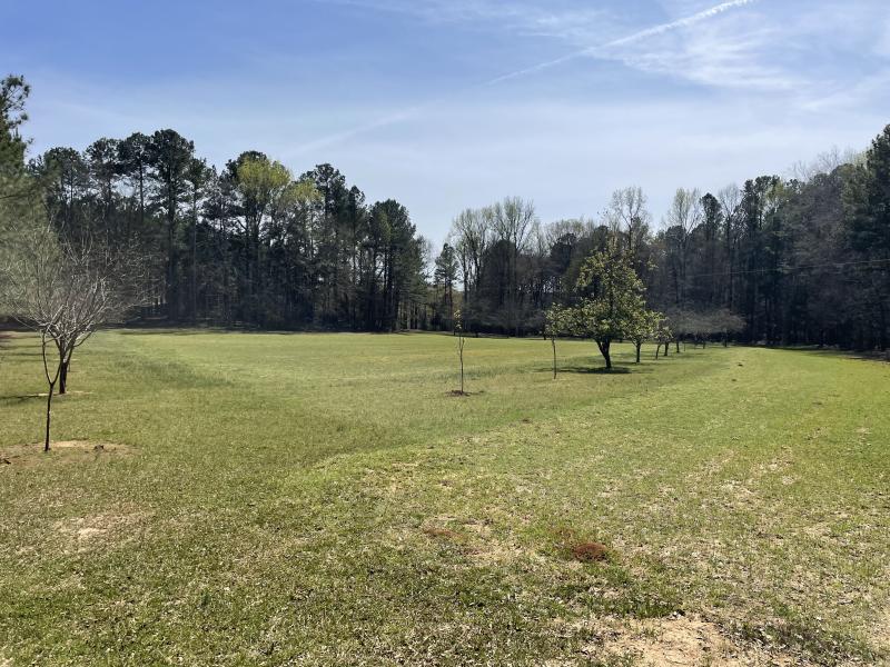 Drinkard Real Estate Sales