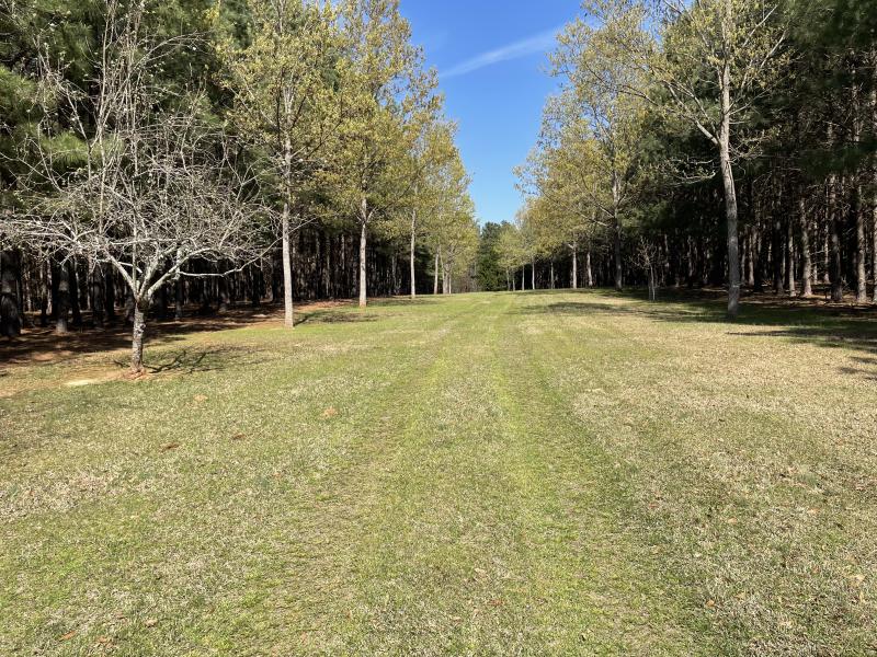 Drinkard Real Estate Sales