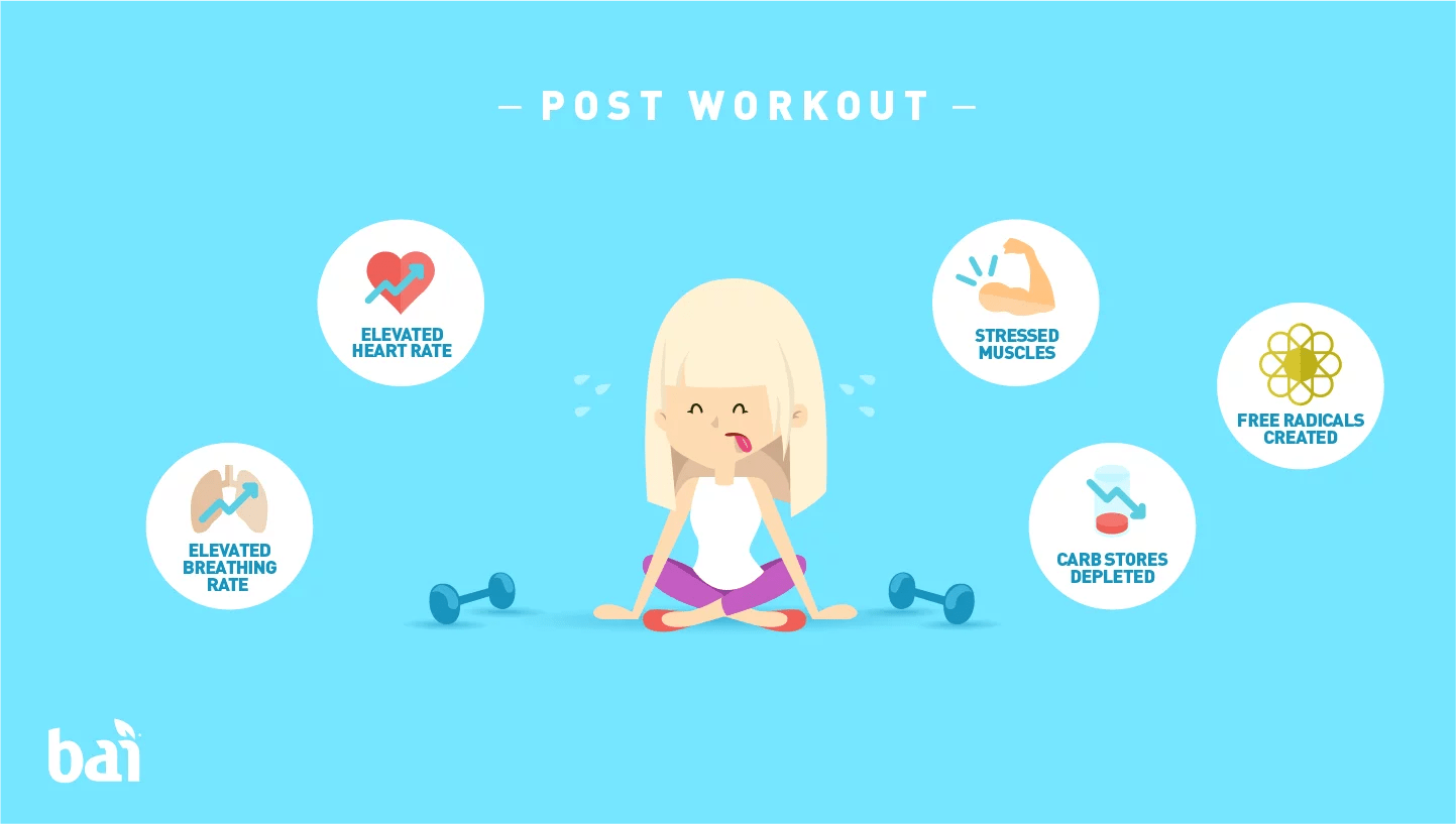 The Best Way to Recover After a Workout Bai Flavor Life